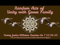 f Wild Geeses 2 f Wild Geeses 2