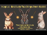 Magical Gratitude Teachings from Rabbit-Where Everyone Wins Something They Learn in Return! Magical Gratitude Teachings from Rabbit-Where Everyone Wins Something They Learn in Return!