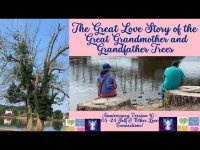 Great Love Story-Great Grandmother & Grandfather Trees-Share The Self-Other+ Love! 10--08-24 Great Love Story-Great Grandmother & Grandfather Trees-Share The Self-Other+ Love! 10--08-24