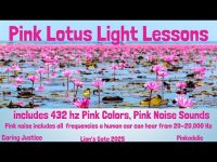 Pink Lotus Light Lessons-Boost Your Compassionate Self with Pink Lotus Light Lessons and the World Pink Lotus Light Lessons-Boost Your Compassionate Self with Pink Lotus Light Lessons and the World