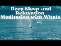 Deep Sleep and Relaxation Music with Whale (loopable)