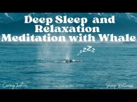 Deep Sleep and Relaxation Music with Whale (loopable) Deep Sleep and Relaxation Music with Whale (loopable)
