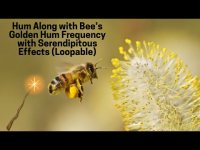 Hum Along with Beeโs Golden Hum Frequency & with Serendipitous Effects (Loopable) Hum Along with Beeโs Golden Hum Frequency & with Serendipitous Effects (Loopable)