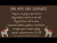 Join Baby Elephants & align with compassion, kindness, doing good, strength, power, wisdom+ Join Baby Elephants & align with compassion, kindness, doing good, strength, power, wisdom+