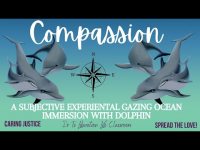 Compassion: A Subjective Experiential Gazing Ocean Immersion With Dolphin