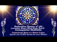 Restorative Flowers of Life-Lavender Heart Mind Body Spirit Contemplation-Meditation, Relaxation+ #1 Restorative Flowers of Life-Lavender Heart Mind Body Spirit Contemplation-Meditation, Relaxation+ #1