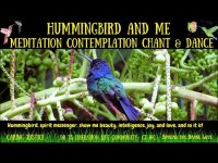 Humming Bird & I/U/We  Contemplation Chant and Dance  (clarity joy, beauty, intelligence, love+-) Humming Bird & I/U/We  Contemplation Chant and Dance  (clarity joy, beauty, intelligence, love+-)