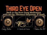 Third Eye Open: Back to the Root Gong Meditation with 852 hz (+Fibonacci Sequence, & Snail) loopable
