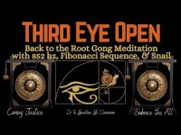 Third Eye Open: Back to the Root Gong Meditation with 852 hz (+Fibonacci Sequence, & Snail) loopable Third Eye Open: Back to the Root Gong Meditation with 852 hz (+Fibonacci Sequence, & Snail) loopable