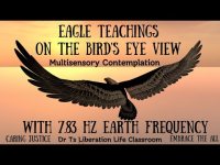 Eagle Teaching on the Bird's Eye View: A  Multisensory Contemplation with   7.83 hz Earth Frequency