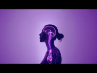 Heart Mind Coherence 0.1 hz Harmonizing Meditation Heart Mind Coherence 0.1 hz Harmonizing Meditation