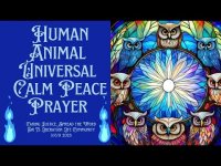 Calm Peace Within, Silence Without-Prayer Short Calm Peace Within, Silence Without-Prayer Short