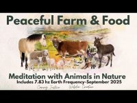 Peaceful Farm & Organic Food Meditation: With Resilient Humans, Animals, & Nature Peaceful Farm & Organic Food Meditation: With Resilient Humans, Animals, & Nature