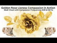 Golden Rose Lioness: Compassion in Action: Musing Meditation with Compassion Resonance -639+432 hz Golden Rose Lioness: Compassion in Action: Musing Meditation with Compassion Resonance -639+432 hz