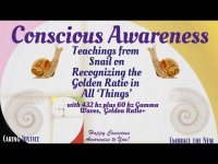 Conscious Awareness Snail Wisdom with the Golden Ratio in All 'Things including You are Made of! Conscious Awareness Snail Wisdom with the Golden Ratio in All 'Things including You are Made of!
