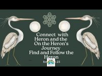 Connect with the Heron's Journey: Find & Follow Heron on Your Ascension Path (loopable real nature) Connect with the Heron's Journey: Find & Follow Heron on Your Ascension Path (loopable real nature)