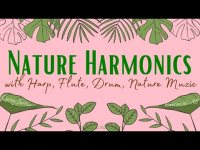 Nature Harmonics with Harp Harp, Flute,  & Drum