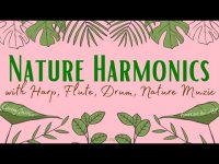 Nature Harmonics with Harp Harp, Flute,  & Drum Nature Harmonics with Harp Harp, Flute,  & Drum