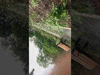 Love and Lightning: Multisensory nature sites, sounds for stress release, studying, sleep, loopable Love and Lightning: Multisensory nature sites, sounds for stress release, studying, sleep, loopable