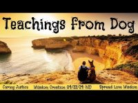 Teachings from Dog: "Human's Best Friend"-A Multisensory Experience (04/22/24 Sacred Earth Day-v2) Teachings from Dog: "Human's Best Friend"-A Multisensory Experience (04/22/24 Sacred Earth Day-v2)