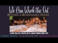 We Can Work This Out-Beyond A Reasonable Doubt Contemplative Lessons from Ants, Children, & Animals