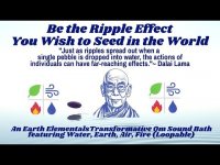 Be the Ripple Effect You Wish to Seed in the World Be the Ripple Effect You Wish to Seed in the World