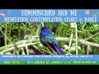 HummingBird AND ME MediTATION CONTEMPLATION CHANT & DANCEals Extended Version HummingBird AND ME MediTATION CONTEMPLATION CHANT & DANCEals Extended Version