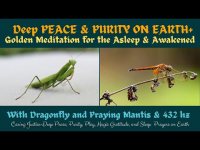Deep PEACE & PURITY ON EARTH+Golden Meditation for the Asleep & Awakened (you got this!) Deep PEACE & PURITY ON EARTH+Golden Meditation for the Asleep & Awakened (you got this!)