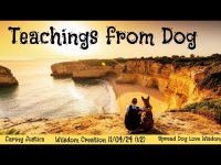 Teachings from Dog: A Beautiful Love Story of Human's Best Friends! Teachings from Dog: A Beautiful Love Story of Human's Best Friends!