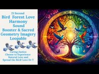 21 Second Bird Forest Love Harmony Sound Booster & Sacred Imagery Loopable-Experience-Natural Love 21 Second Bird Forest Love Harmony Sound Booster & Sacred Imagery Loopable-Experience-Natural Love