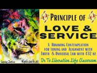 PRINCIPLE OF LOVE & SERVICE: A Humming Contemplation w/ Truth, Universal Law, & 432 hz (well-being)
