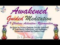 Guided Meditation with with the 9 Main Chakras and Solfeggio Tones