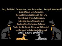 Teachings from Dog: Video Postcards (Feel Free to Press Pause and Review & Reflect) Teachings from Dog: Video Postcards (Feel Free to Press Pause and Review & Reflect)