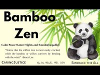 Bamboo Zen-Calm Peace Nature Sights and Sounds (loopable)