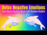 Detox Negative Emotions: Calm Nature Healing & Stress Relief Music with Rainbow Dolphin