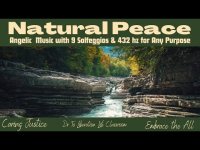 Natural Peace Angelic Music with 9 Solfeggios & 432 hz for Any Purpose (loopable) Natural Peace Angelic Music with 9 Solfeggios & 432 hz for Any Purpose (loopable)