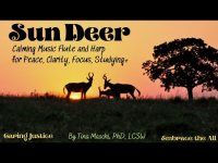 Sun Deer-Calming Music Flute and Harp+  for Peace, Clarity, Focus, Studying+ Sun Deer-Calming Music Flute and Harp+  for Peace, Clarity, Focus, Studying+