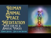 Human Animal Peace Prayer Meditation with 528 hz & Angelic Voices