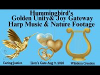 Hummingbird's Golden Unity& Joy Gateway Harp Music & Nature Footage Hummingbird's Golden Unity& Joy Gateway Harp Music & Nature Footage