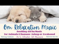 Om Relaxation Music Soothing 432 hz Music for Animals & Humans+ Asleep or Awakened (loopable)