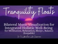 Tranquility Floats:  Bilateral Music Visualization for Integrated Holistic Well-Being Meditation+
