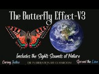 The Butterfly Effect Contemplation with the Sights and Sounds of Nature