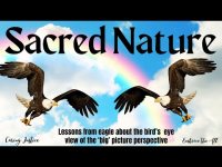 Sacred Chant : Lessons from Eagle About the Bird’s Eye View of the ‘Big’ Picture Perspective (loop)