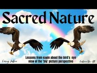 Sacred Chant : Lessons from Eagle About the Birdโs Eye View of the โBigโ Picture Perspective (loop) Sacred Chant : Lessons from Eagle About the Birdโs Eye View of the โBigโ Picture Perspective (loop)