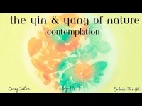 The Yin & Yang of Nature Contemplation (with Nature Sites and Sounds) The Yin & Yang of Nature Contemplation (with Nature Sites and Sounds)