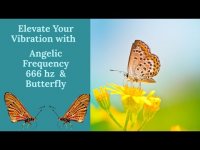Elevate Your Vibration with Angelic Frequency 666 hz & Butterfly Elevate Your Vibration with Angelic Frequency 666 hz & Butterfly