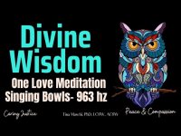 Divine Wisdom One Love Meditation Singing Bowls- 963 hz Divine Wisdom One Love Meditation Singing Bowls- 963 hz