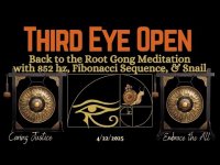 BACK TO THE ROOT THIRD EYE OPEN Gong Meditation-852 HZ FIBONACCI SEQUENCE, & SNAIL Meditation Loop BACK TO THE ROOT THIRD EYE OPEN Gong Meditation-852 HZ FIBONACCI SEQUENCE, & SNAIL Meditation Loop