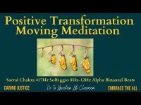 Positive Transformation= Moving Meditation-Sacral Chakra 417Hz +  8 Hz-12Hz Alpha Binaural Beats