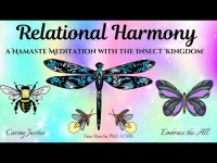Relational Harmony: A Namaste Meditation with the Insect Kingdom (includes soothing buzzing of bees)